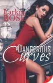 Dangerous Curves (eBook, ePUB)