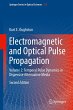 Electromagnetic and Optical Pulse... - Bild 1