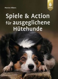 Cover Spiele und Action für ausgeglichene Hütehunde