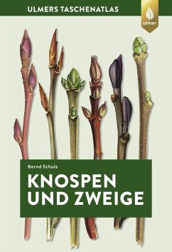 Knospen und Zweige - Schulz, Bernd