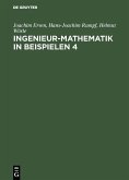 Ingenieur-Mathematik in Beispielen 4 (eBook, PDF)