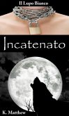 Incatenato (eBook, ePUB)