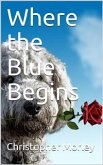 Where the Blue Begins (eBook, PDF)