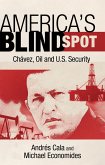 America's Blind Spot (eBook, ePUB)
