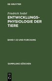Ei und Furchung (eBook, PDF)