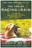 The Art of Racing in the Rain