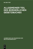 Allgemeiner Teil des Bürgerlichen Gesetzbuches (eBook, PDF)