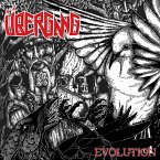 Evolution (Black Vinyl)