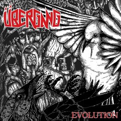 Evolution (Black Vinyl) - Übergang