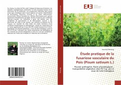 Étude pratique de la fusariose vasculaire du Pois (Pisum sativum L.) - Merzoug, Aoumria