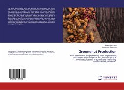 Groundnut Production