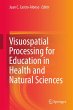 Visuospatial Processing for Education... - Bild 1