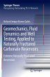 Geomechanics, Fluid Dynamics and Well... - Bild 1