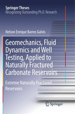 Geomechanics, Fluid Dynamics and Well Testing, Applied to Naturally Fractured Carbonate Reservoirs - Barros Galvis, Nelson Enrique