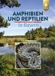 Amphibien und Reptilien in Bayern - Bild 1