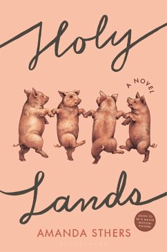Holy Lands (eBook, ePUB) - Sthers, Amanda