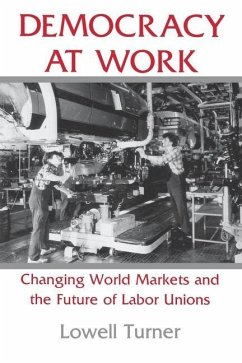 Democracy at Work (eBook, PDF)