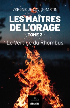 Les Maîtres de l'orage - Tome 2 (eBook, ePUB) - David-Martin, Véronique