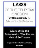 Laws of the Telestial Kingdom (eBook, ePUB)