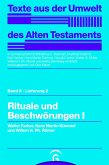 Rituale und Beschwörungen I (eBook, PDF)