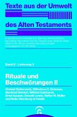 Rituale und Beschwörungen II (eBook, PDF)