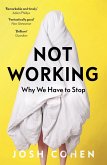 Not Working (eBook, ePUB)