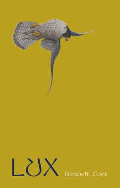 Cover Lux (eBook, ePUB)