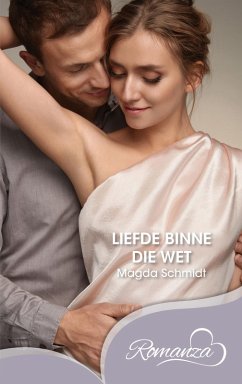 Liefde binne die wet (eBook, ePUB) - Schmidt, Magda