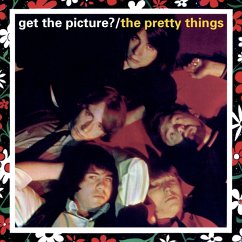 Get The Picture? - Pretty Things,The
