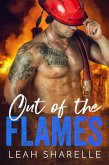 Out Of The Flames (eBook, ePUB)