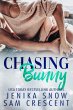 Chasing Bunny (eBook, ePUB) - Bild 1