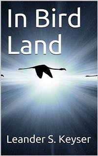 In Bird Land (eBook, PDF) - S. Keyser, Leander