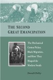 Second Great Emancipation (eBook, PDF)