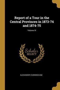 Report of a Tour in the Central Provinces in 1873-74 and 1874-75; Volume IX