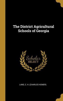 The District Agricultural Schools of Georgia - C H (Charles Homer), Lane