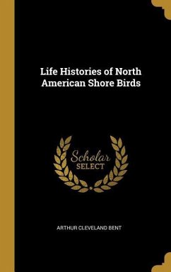 Life Histories of North American Shore Birds - Bent, Arthur Cleveland