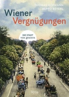Wiener Vergnügungen - Hofmann, Thomas;Beyerl, Beppo