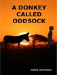 A Donkey Called Oddsock (eBook, ePUB) - Bild 1