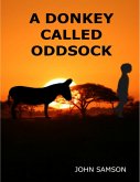 A Donkey Called Oddsock (eBook, ePUB)
