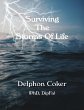 Surviving the Storms of Life (eBook,... - Bild 1