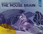 Paxinos and Franklin's the Mouse Brain in Stereotaxic Coordinates (eBook, ePUB)