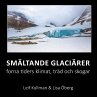Smältande glaciärer - Bild 1