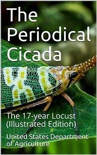 The Periodical Cicada / The 17-year Locust (eBook, PDF) - States Department of Agriculture, United