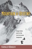Mountain of Destiny (eBook, PDF)