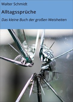 Alltagssprüche (eBook, ePUB) - Schmidt, Walter