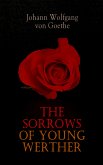 The Sorrows of Young Werther (eBook, ePUB)