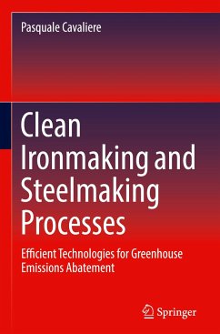 Clean Ironmaking and Steelmaking Processes - Cavaliere, Pasquale