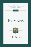 Romans (eBook, ePUB)