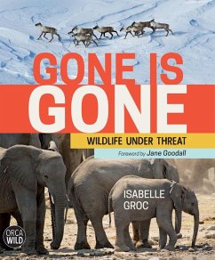 Gone Is Gone - Groc, Isabelle