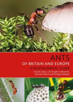 Ants of Britain and Europe - Lebas, Claude; Galkowski, Christophe; Blatrix, Rumsais